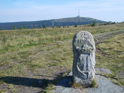 Vysoká hole