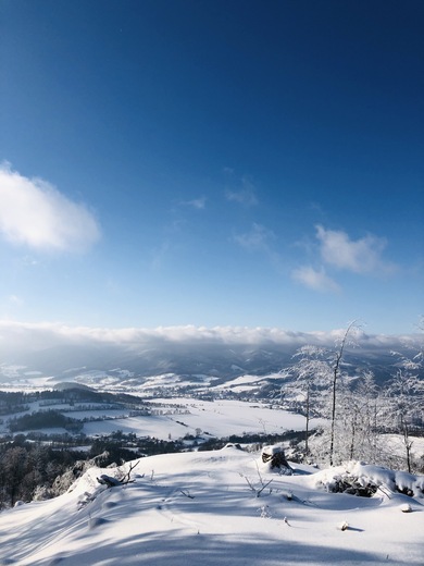 IMG-5390.jpg