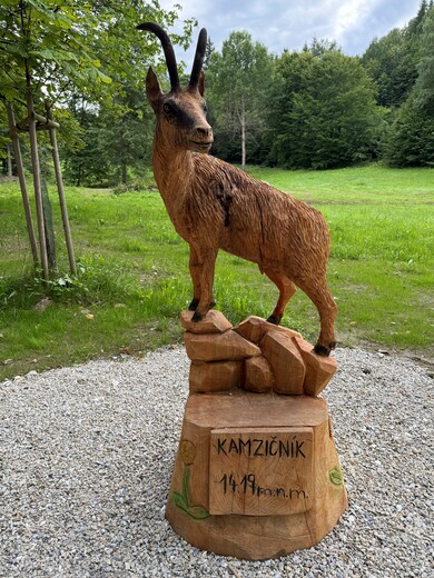 Kamzičník