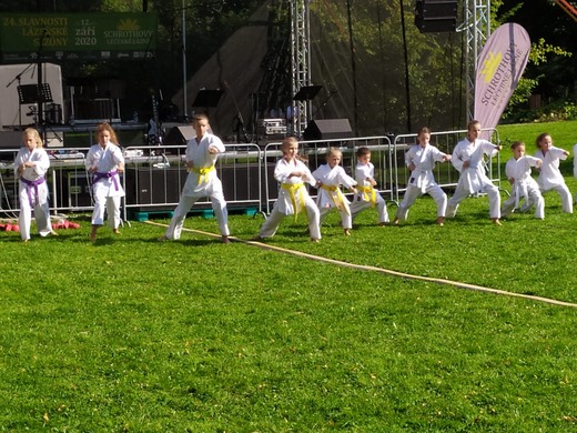 Karate klub Jesen°k.jpg